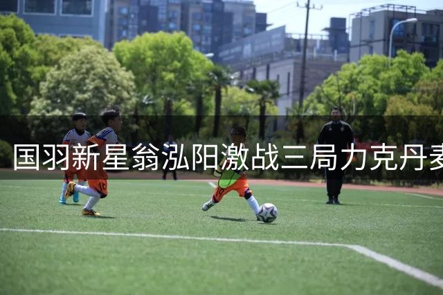 国羽新星翁泓阳激战三局力克丹麦名将 挺进中国公开赛16强